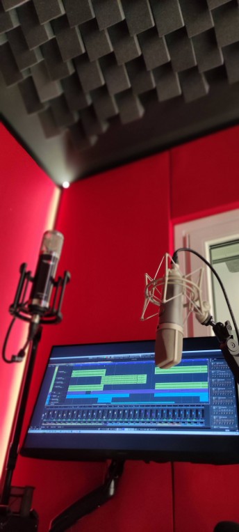 Vlavo-greek-Voice-Overs-studio-mics2-opt